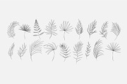 Tropical collection, a Decorative Illustration by Merfin (Thumbnail 6 of 10)