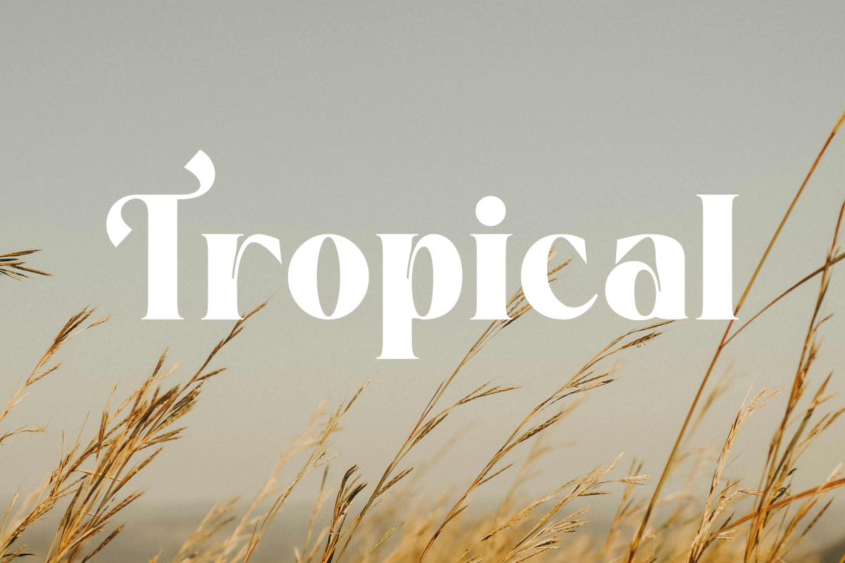 Aura Moon, a Serif Font by Zafiratype (Photo 10 of 15)