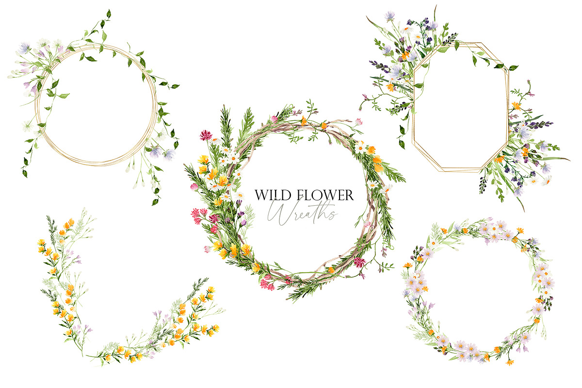 Watercolor flower -Wild flower, an Illustration by Beigetime (Photo 7 of 9)