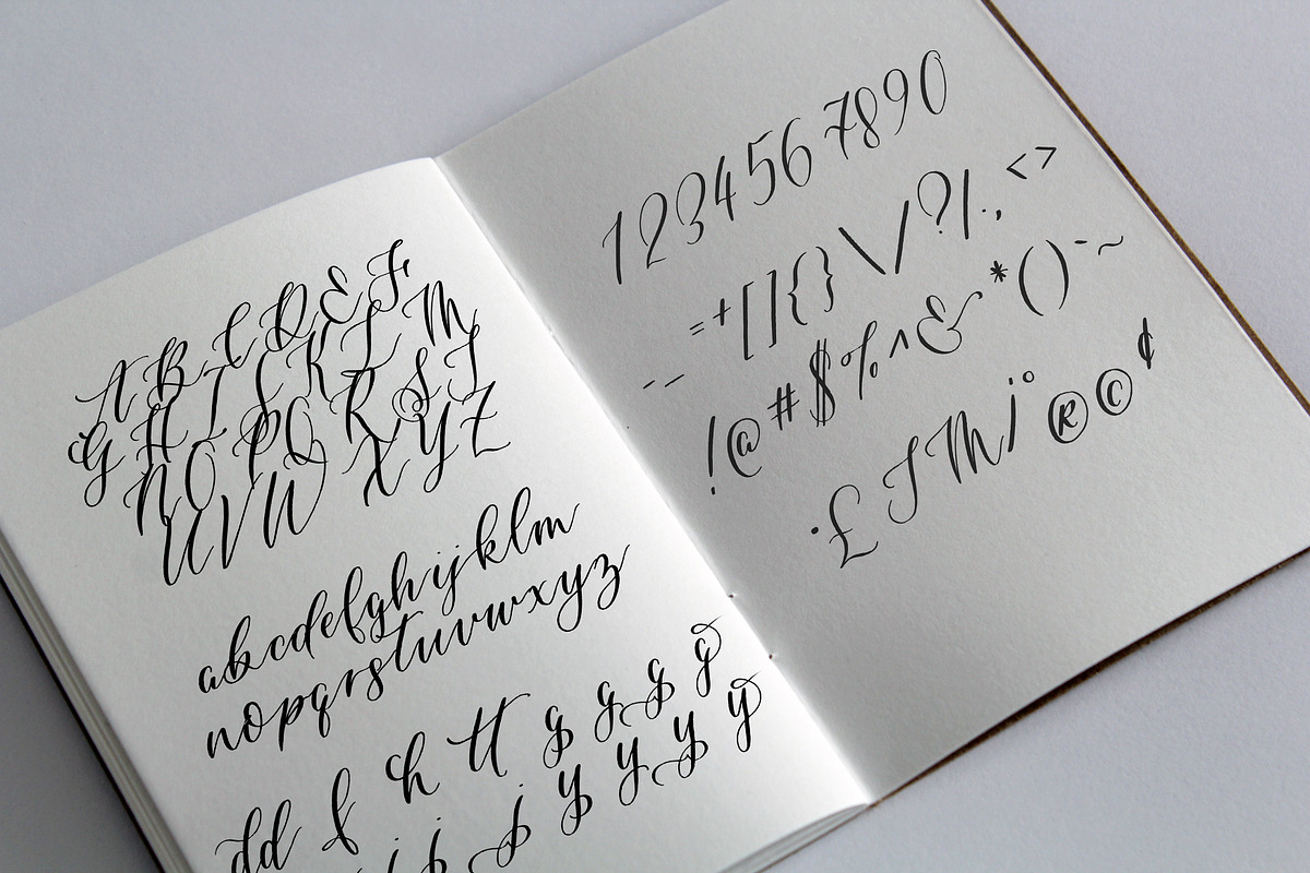 Sakura Script preview 4