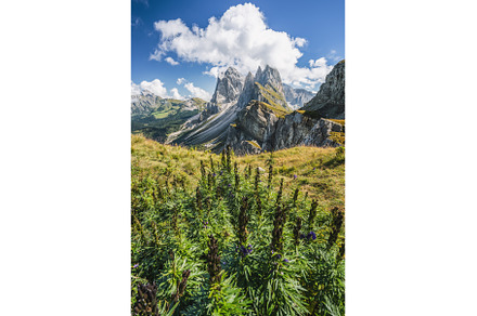 Seceda peaks. Trentino Alto Adige, a Nature Photo by Igor Tichonow