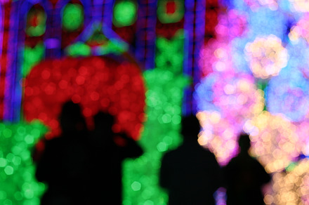 silhouette of people at light show