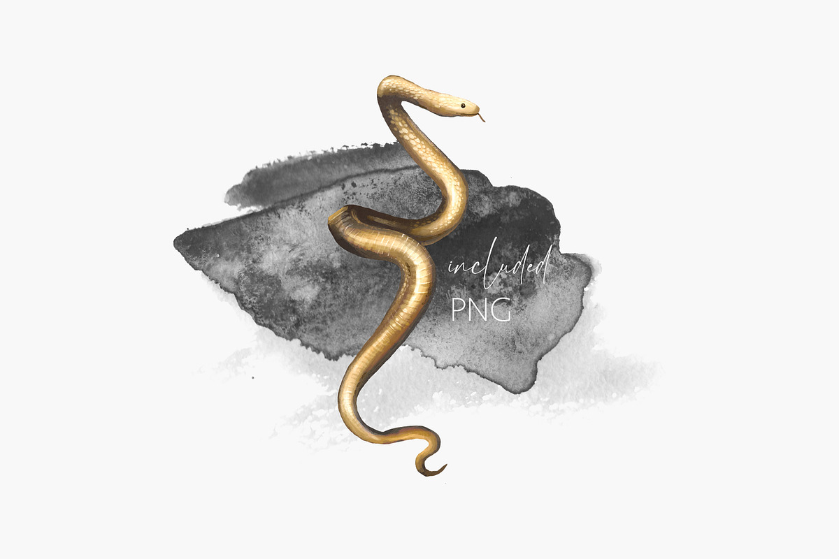 GOLDEN SEA, an Animal Illustration by Eisfrei (Photo 7 of 11)