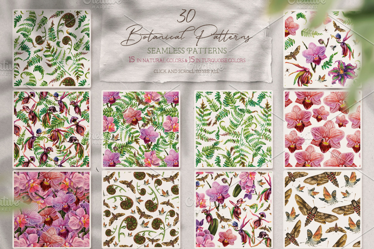 Watercolor Vintage Botany, an Illustration by Fluffy Unicorn (Photo 6 of 10)
