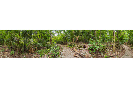 Scenic panoramic pathway winding, a Nature Photo by Elizaveta Galitskaya