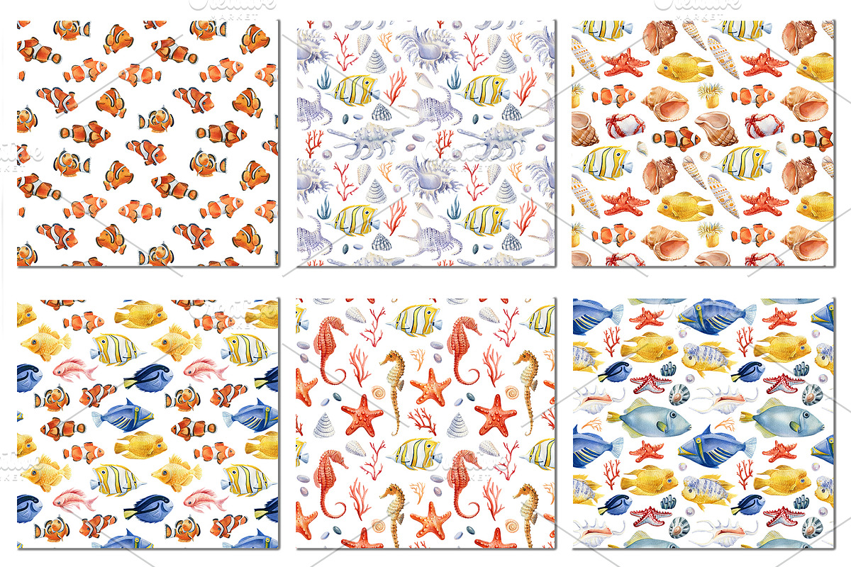 Seashells and fish, watercolor, an Animal Illustration by Hanna Hryharenka (Photo 15 of 20)
