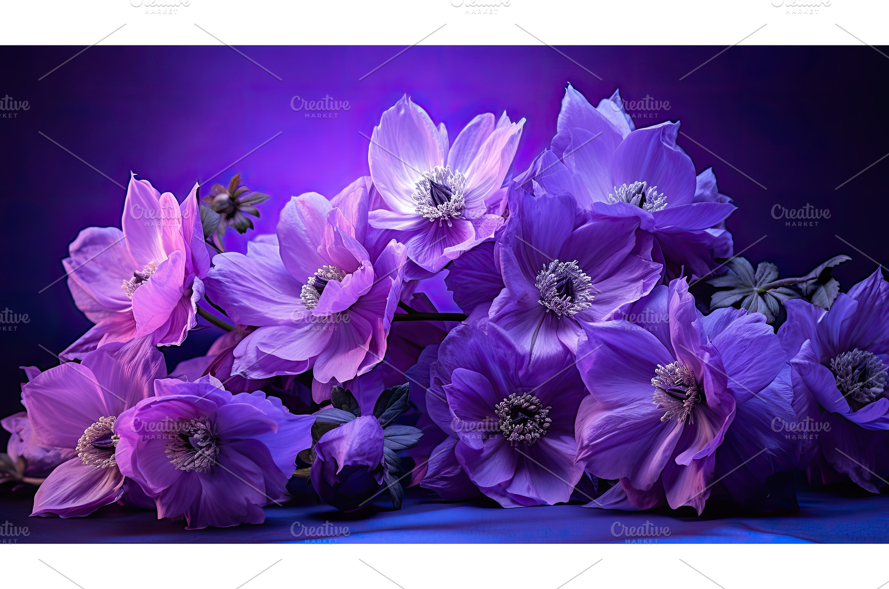 lavender purple flowers isolated ai, a Nature Photo by pikepicture