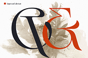 Rosseti - Elegant Retro Serif, a Serif Font by Sign Studio (Thumbnail 12 of 14)