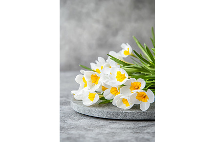 White and yellow crocus flowers, a Nature Photo by Lermont51