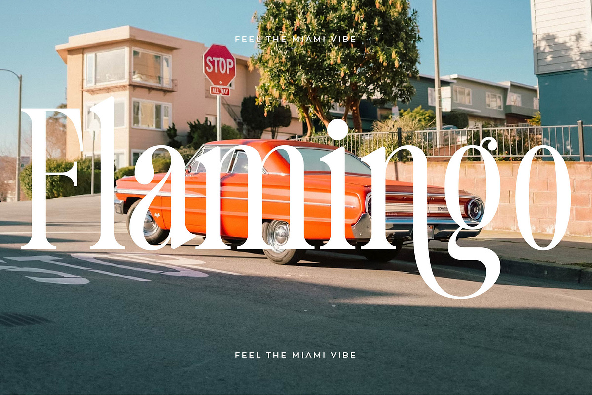 Trangels New Tall Serif Display, a Serif Font by timelesstype.co (Photo 14 of 20)