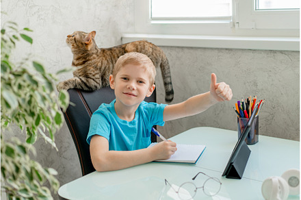 Young boy learn by tablet at home, a School & Education Photo by Ksenia Neyman