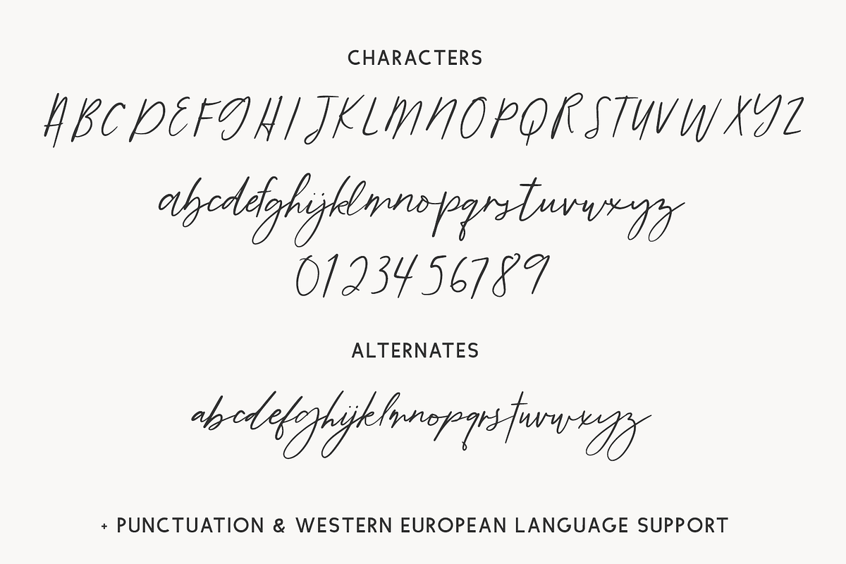Tumbleweed Script, a Script Font by Beck McCormick (Photo 10 of 10)
