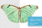 Butterflies Digital Collage Pack, an Object Graphic by Collage Supply Co (Thumbnail 3 of 3)