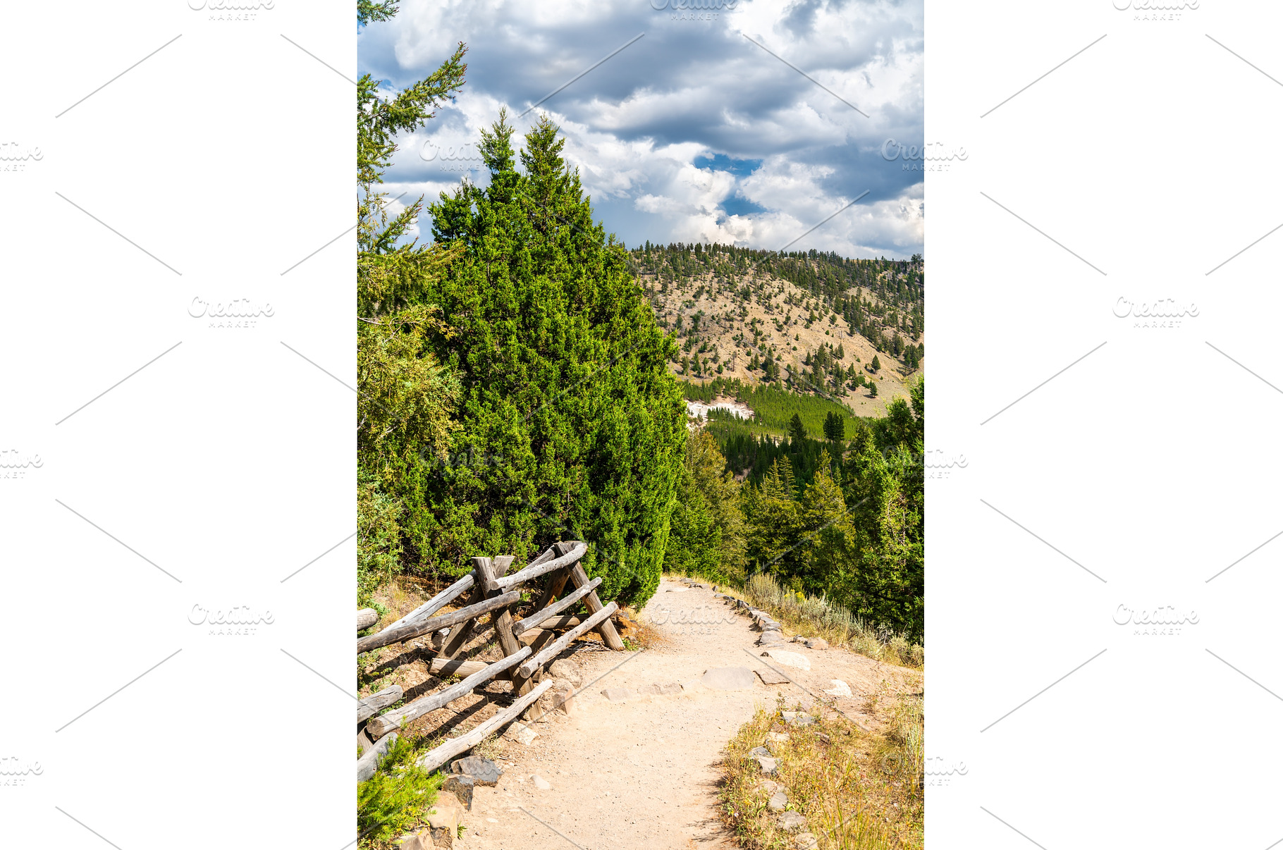 Trail near Tower Fall with rustic, a Nature Photo by Leonid Andronov