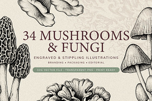 35 Mushrooms & Fungi–Engraved Vector