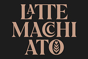 Galonia Type, a Serif Font by Dopestype (Thumbnail 4 of 13)