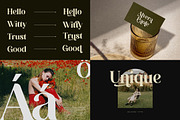 Elegant Serif – 8 Font Bundle, a Serif Font by Brand Earth (Thumbnail 10 of 10)