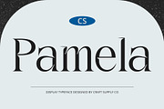 CS Pamela – Inktrap Font, a Serif Font by Craft Supply Co. (Thumbnail 1 of 8)