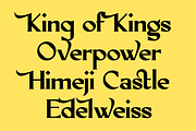 AO Orchid - Decorative Typeface, a Serif Font by OwunStudio (Thumbnail 14 of 15)