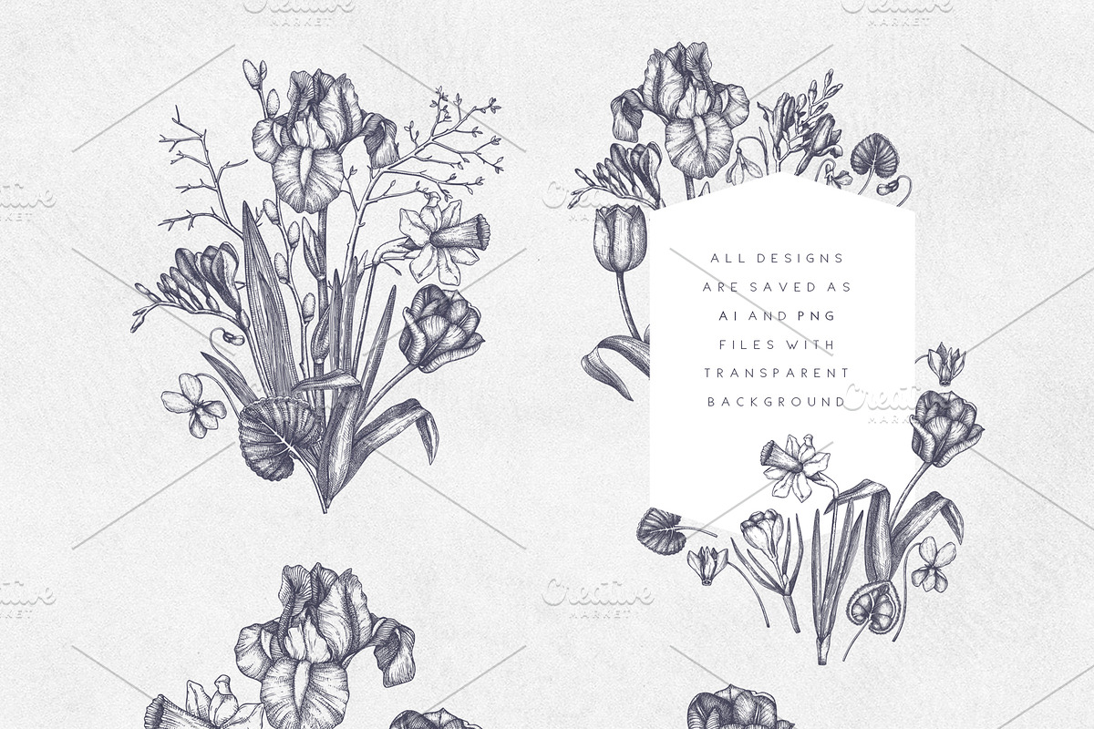 Hand Drawn Spring Flowers Set, a Seasonal Illustration by Yevheniia (Photo 5 of 16)