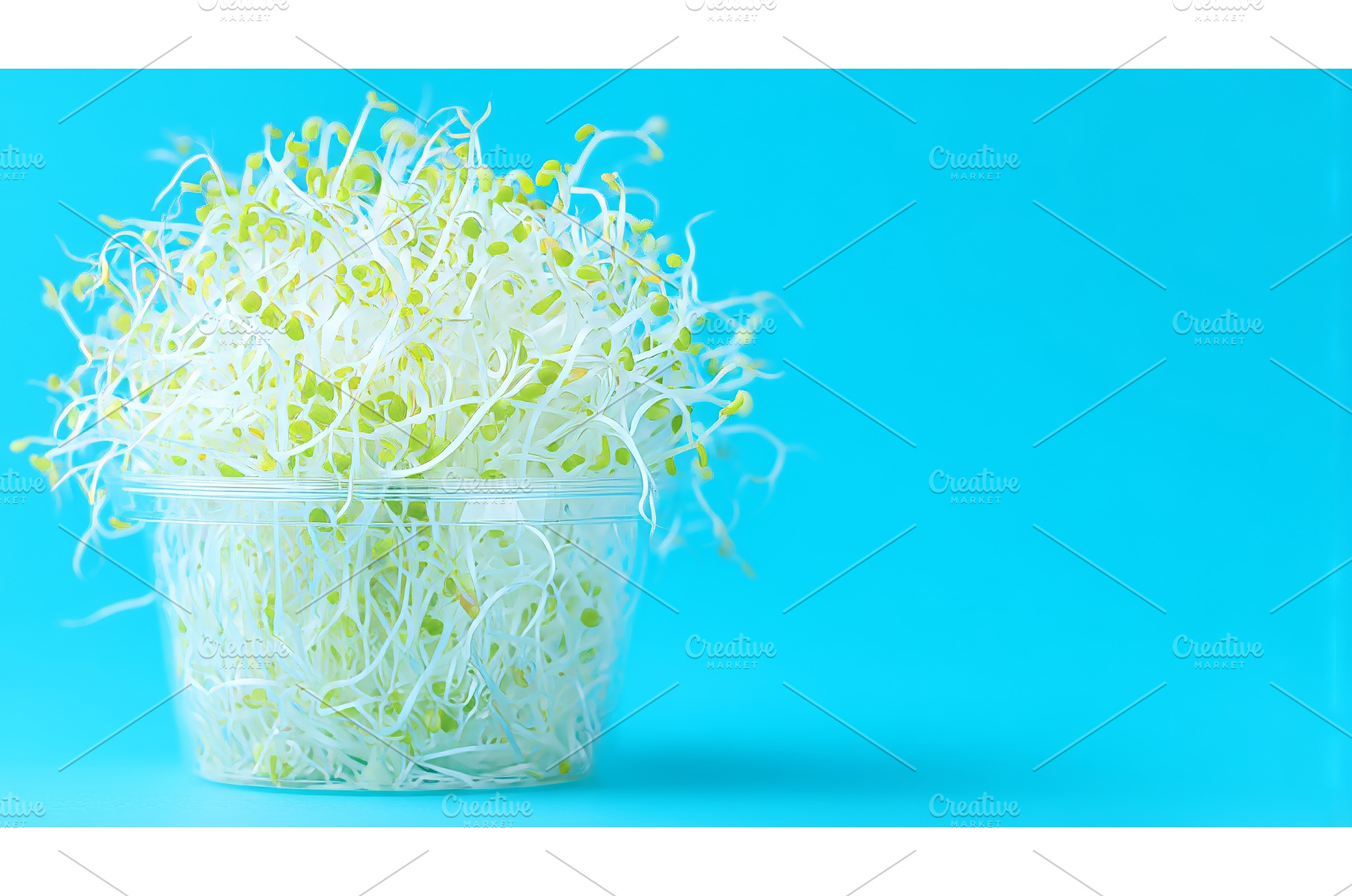 A close-up view of microgreens, a Food & Drink Photo by ZinetroN