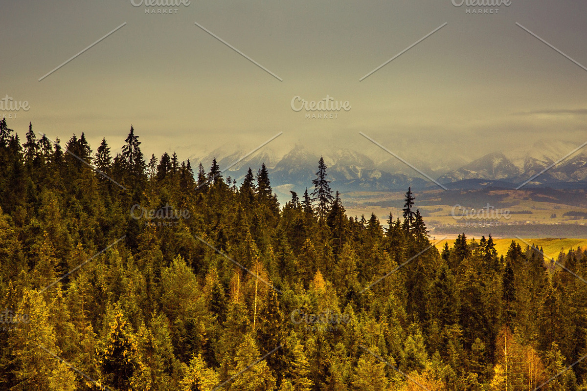 Feeling Horizon for $10, a Templates & Theme by Feelings (Photo 3 of 5)
