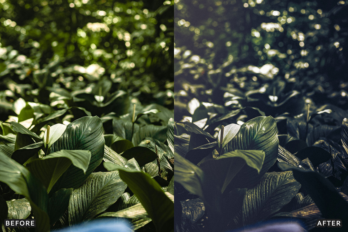 Dark Green Lightroom & Photoshop Photo Presets