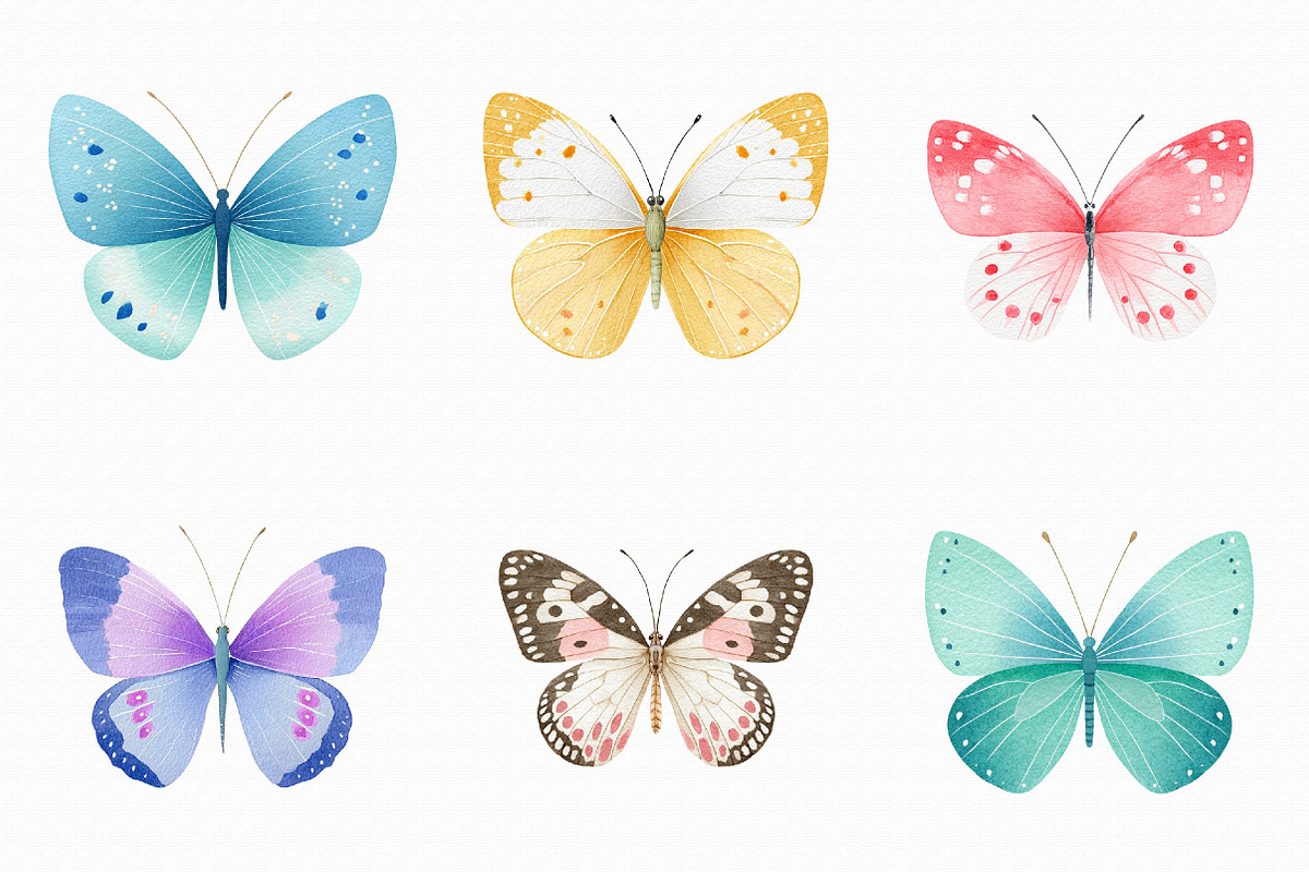 Watercolor Butterfly Clipart, an Illustration by Libby Wishes (Photo 6 of 6)