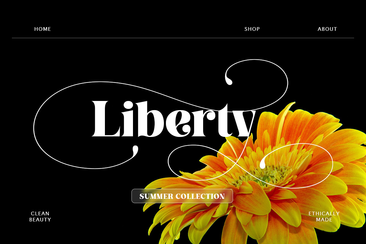 Display Series, a Serif Font by Attract Studio (Photo 5 of 15)