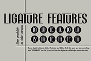 Oldbrothers Condense Sans, a Sans Serif Font by Haksen (Thumbnail 10 of 12)