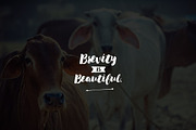 Typography set #9, a Background Graphic by pa3x (Thumbnail 2 of 2)