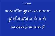 ROYAL HINDIA | Signature Logo Script, a Handwritten Font by Havinkpen (Thumbnail 8 of 8)