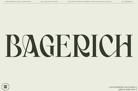 BAGERICH FONT, a Sans Serif Font by Bagerich Type Foundry