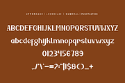 Kegisha - Aesthetic & Minimal Font, a Serif Font by QR Design Studio (Thumbnail 5 of 6)