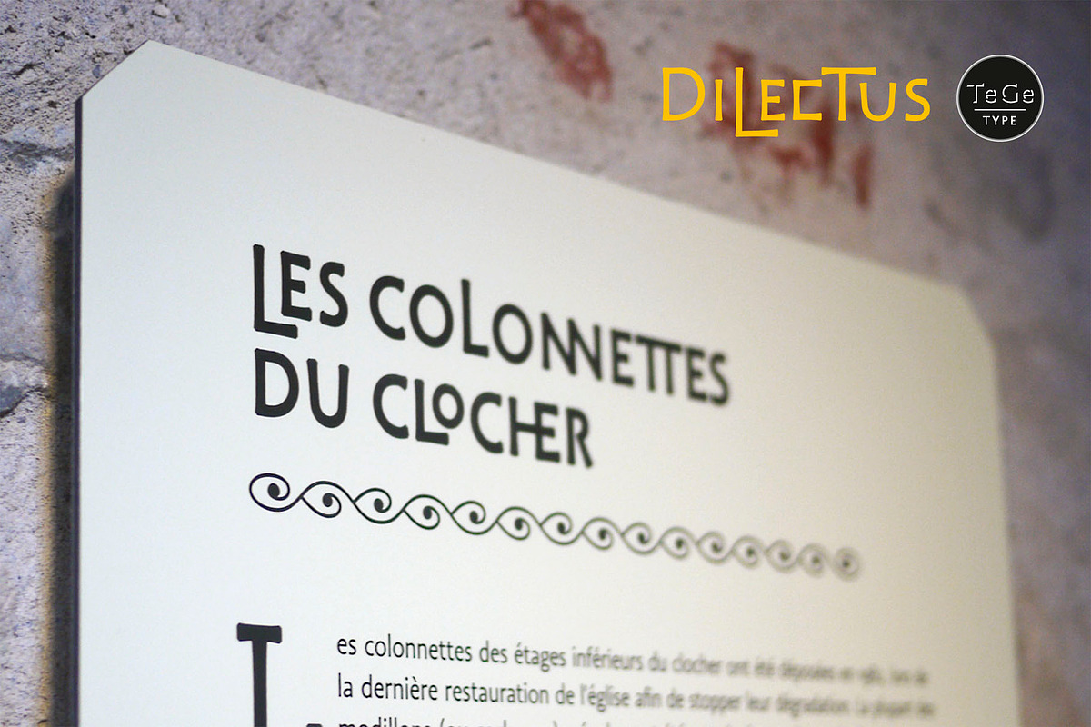 Dilectus, a Script Font by TeGeType foundry (Photo 3 of 8)