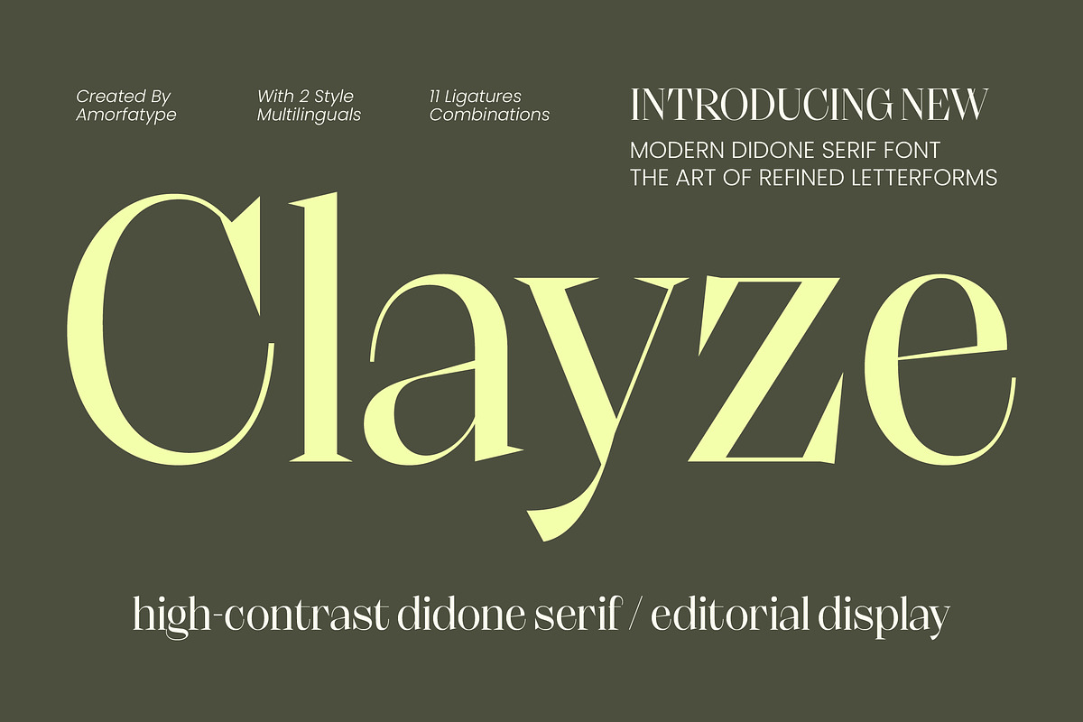 Clayze High Contrast Editorial Serif, a Serif Font by AmorfaType (Photo 1 of 8)