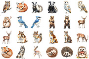 Forest Animals - Woodland Clipart, an Illustration by Sublimation Artist (Thumbnail 2 of 6)