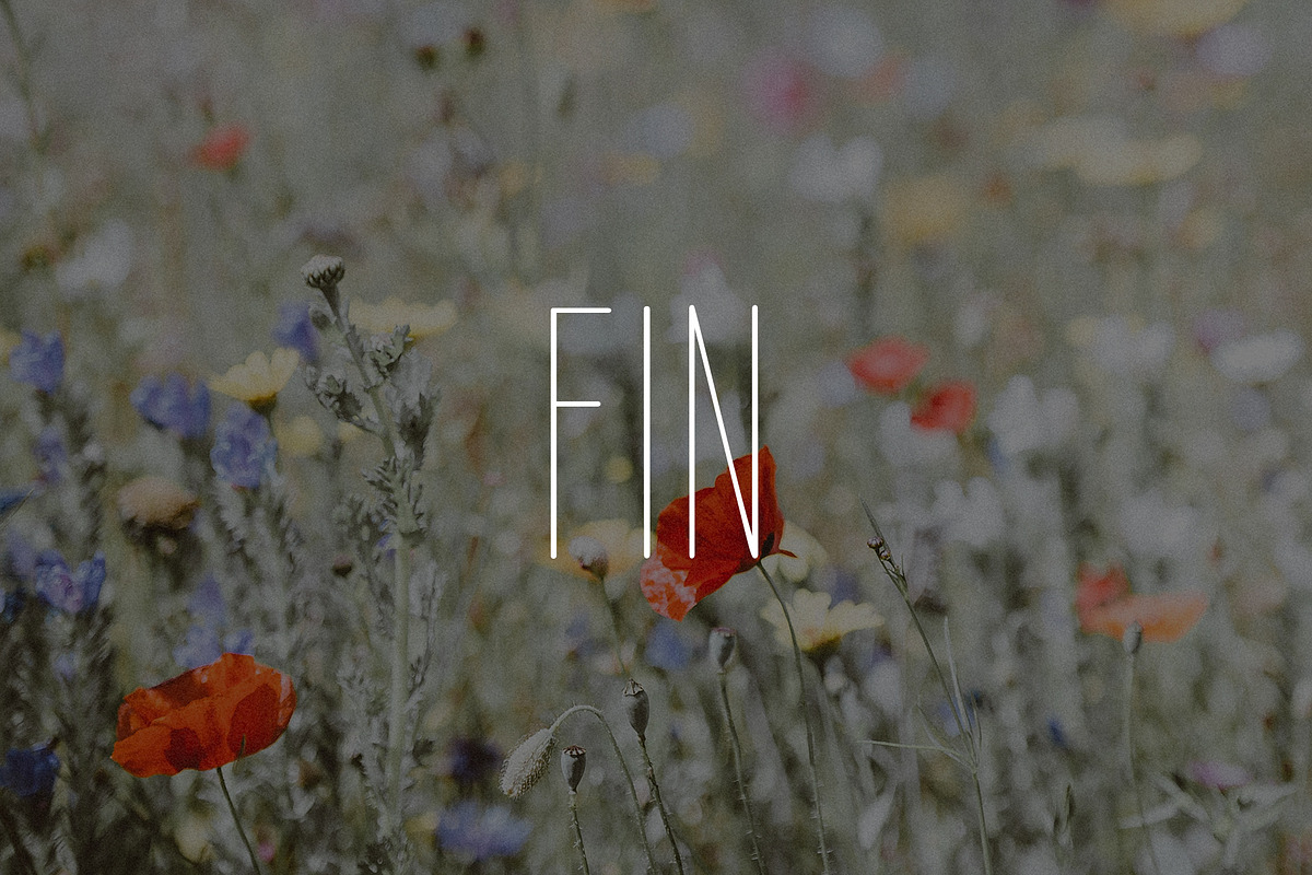 SkinnyCap Nav | Sans Serif Font, a Sans Serif Font by Navia Gruber (Photo 6 of 6)