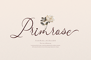 Mafuinka | Classic Calligraphy, a Script Font by gracetype_studio (Thumbnail 3 of 12)
