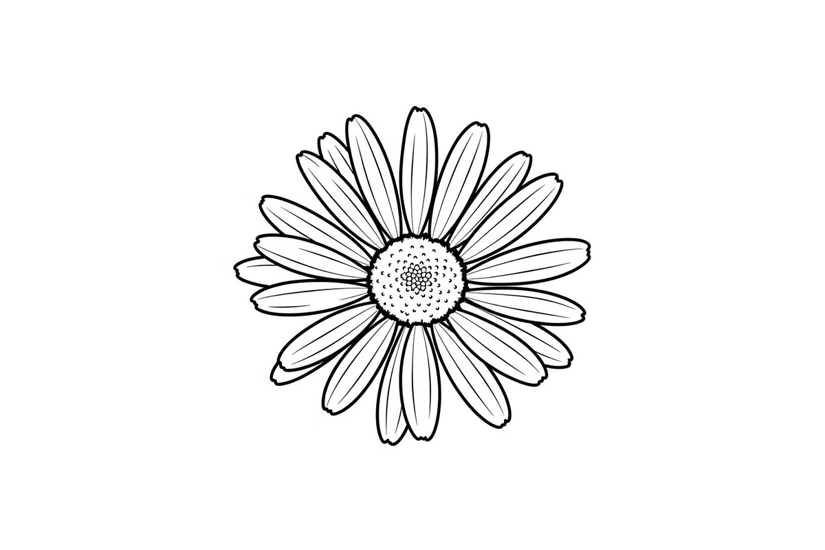 Daisy Flower Line Art Vector Bundle0, an Illustration by jahid234 (Photo 44 of 51)