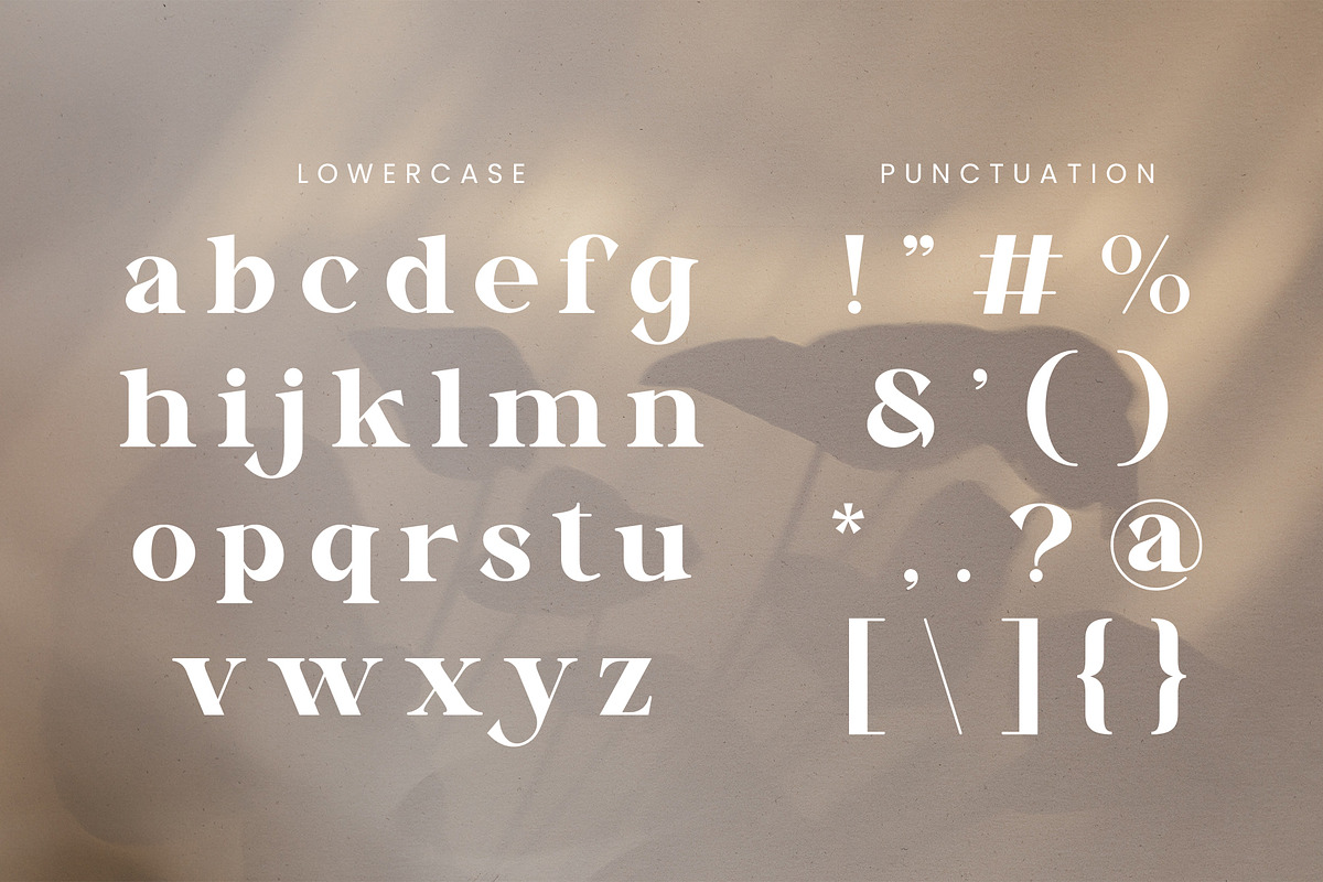 Vinaly Serif Font, a Serif Font by Idea Studio (Photo 9 of 11)