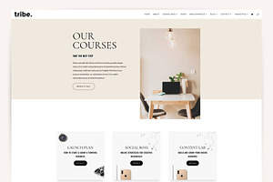 Tribe Online Course Theme For Divi