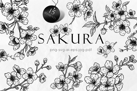Sakura Flowers Line Art SVG, an Object Graphic by Dervik Art Store