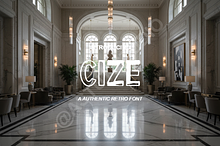 Cize | The Elegant High-Contrast Dis