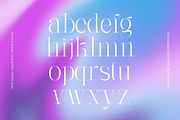 Artik - Modern Serif Font, a Serif Font by Nirmana Visual (Thumbnail 3 of 10)