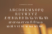 Wisteriano - Modern Serif Font, a Serif Font by Flawless And Co (Thumbnail 10 of 10)