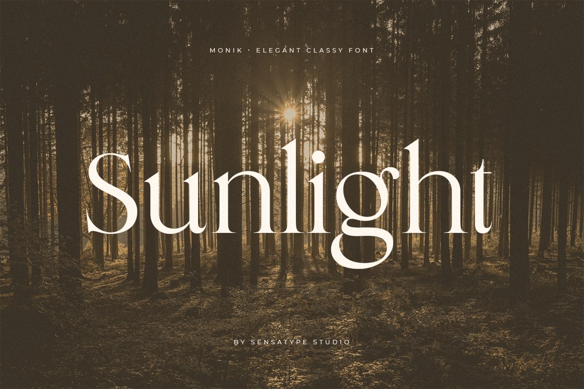 Monik - Elegant Classy Font, a Serif Font by Sensatype (Photo 10 of 15)