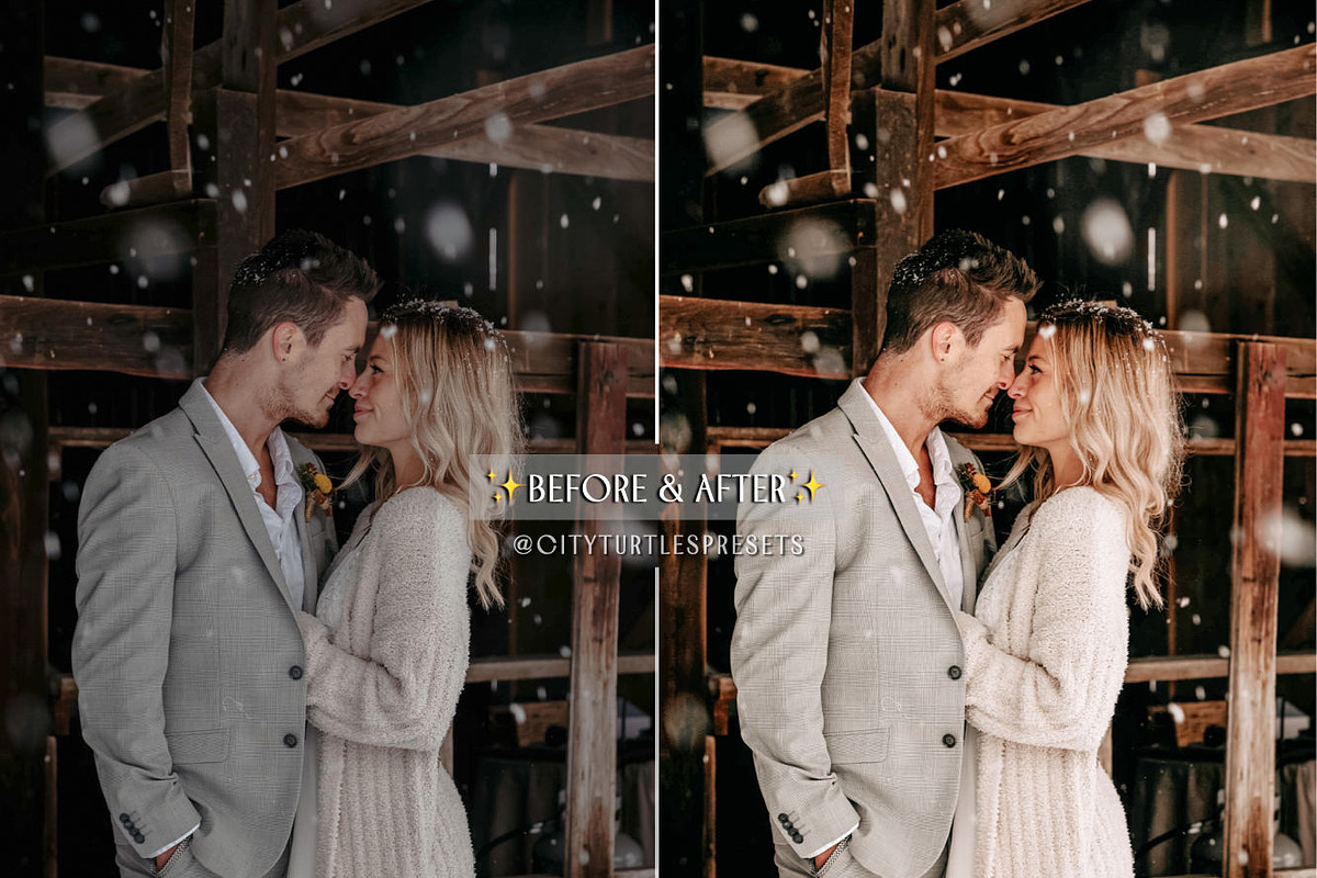 Natural Winter Magic LR Presets, an Action Add-On by CityTurtles (Photo 6 of 10)