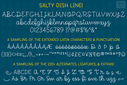 Salty Dish Line - single-line font, a Script Font by Missy Meyer (Thumbnail 7 of 8)