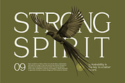 Sevoilla – Elegant Serif Typeface, a Serif Font by Vadovastd (Thumbnail 2 of 7)